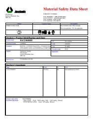 2199 SUCCINIMIDE (English) ANACHEMIA MSDS Canada/4 pages ...