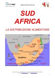 PROVINCIA-SUD AFRICA.pdf - Mantova Export Consortium