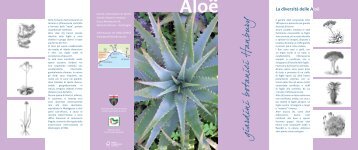 Le aloe - Giardini Hanbury