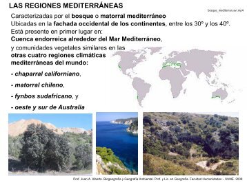 las regiones mediterráneas - Facultad de Humanidades-UNNE