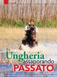 assaporando - In The Saddle