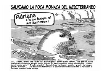 Salviamo la foca monaca del Mediterraneo - Area Marina Protetta ...