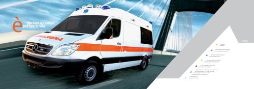 HEALTHCARE VEHICLES - Allestimenti veicoli per trasporto disabili ...