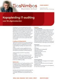 Kopopleiding IT-auditing - TiasNimbas Business School