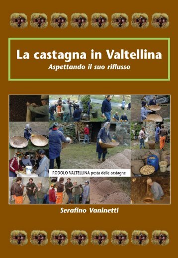 La castagna in Valtellina - Il Mulino del Dosso