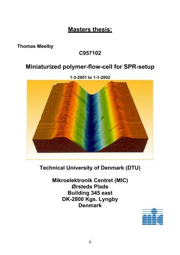 Miniaturized polymer-flow-cell for SPR-setup - DTU Nanotech