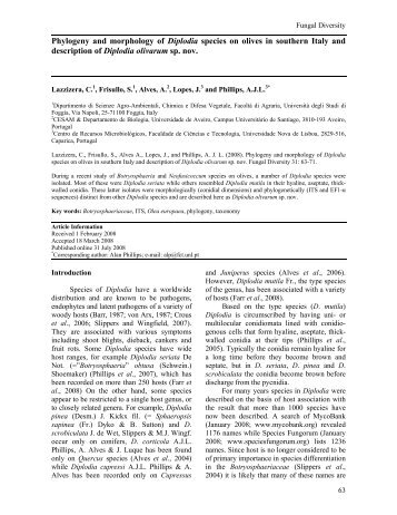 Phylogeny and morphology of Diplodia species on ... - Fungal diversity