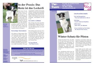 Pfoten im Winter - Tierarztpraxis Dr. Kristine Hucke