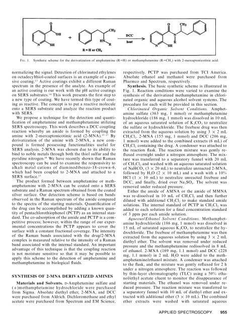 Surface-Enhanced Raman Scattering Detection of Amphetamine ...