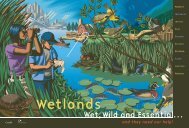 Wetlands: Wet, Wild and Essential