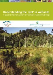 'Wet' in Wetlands - Greater Wellington Regional Council