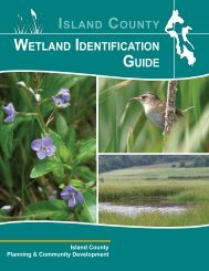 Wetland I.D. Guide - Island County Government