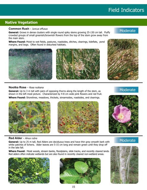 Wetland I.D. Guide - Island County Government