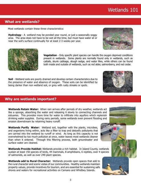 Wetland I.D. Guide - Island County Government