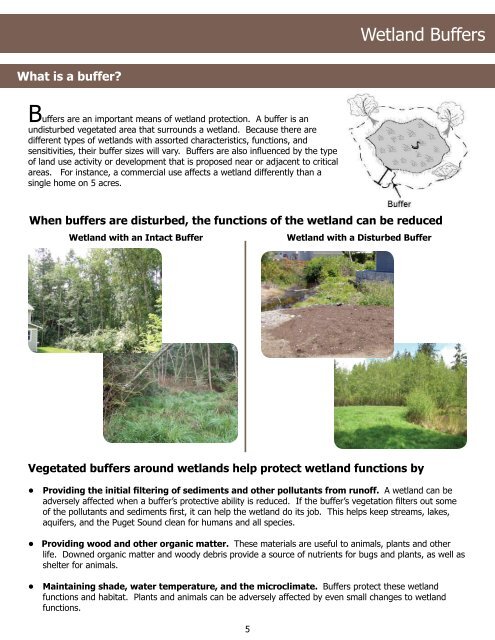 Wetland I.D. Guide - Island County Government