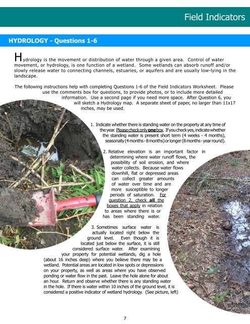 Wetland I.D. Guide - Island County Government