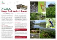 A guide to sungei buloh wetland reserve - National Parks Board