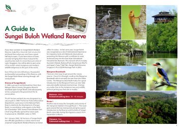 A guide to sungei buloh wetland reserve - National Parks Board