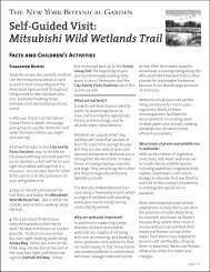 Mitsubishi Wild Wetlands Trail - New York Botanical Garden