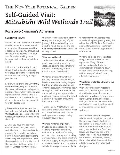 Mitsubishi Wild Wetlands Trail - New York Botanical Garden