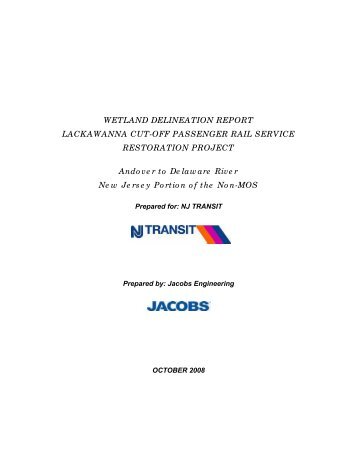 WETLAND DELINEATION REPORT LACKAWANNA CUT-OFF ...