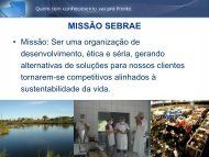 MISSÃO SEBRAE