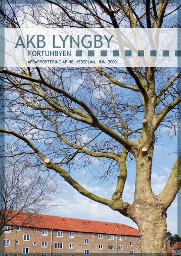 AKB Lyngby Fortunbyen, Afrapportering af helhedsplan - Triarc A/S