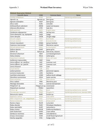 Wetland Botanical Species List - Wiyot Tribe