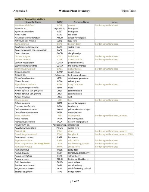 Wetland Botanical Species List - Wiyot Tribe