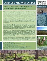 Land Use and Wetlands: a local decision maker's guide to wetland ...