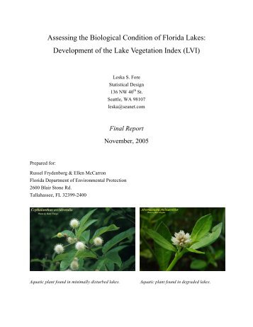 Development of the Lake Vegetation Index (LVI) - Edocs