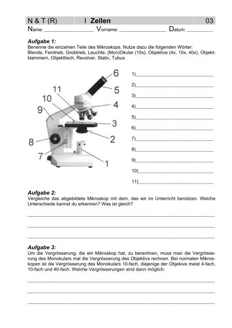 N & T (R) I Zellen 01 - Gegenschatz.net