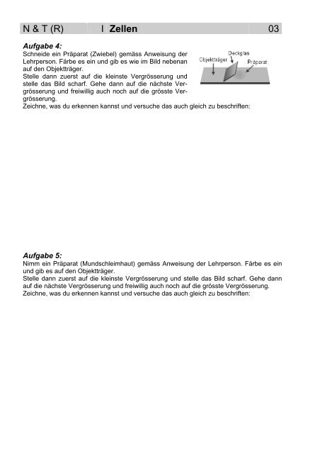 N & T (R) I Zellen 01 - Gegenschatz.net