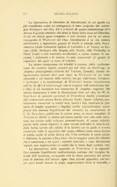 Rivista italiana di paleontologia e stratigrafia