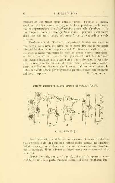 Rivista italiana di paleontologia e stratigrafia