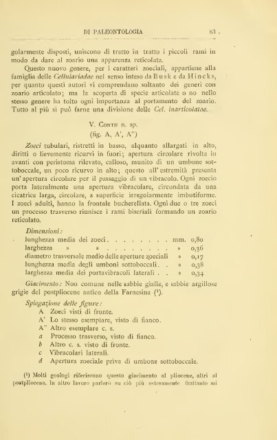 Rivista italiana di paleontologia e stratigrafia