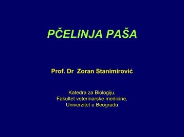 PČELINJA PAŠA Prof. Dr Zoran Stanimirović - Fakultet veterinarske ...