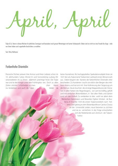 Stadtgespräch - Ausgabe 4, April 2012