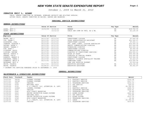 New York State Senate Expenditure Report