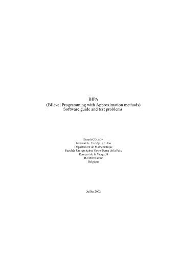 BIPA (BIlevel Programming with Approximation methods) - Pages ...