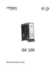 ISK 100
