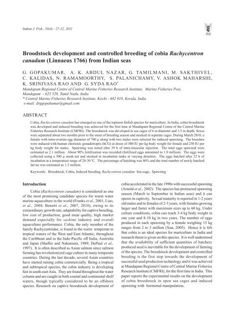 Broodstock development and controlled breeding of cobia - Eprints ...