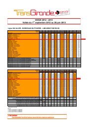 Ligne 302 - TransGironde