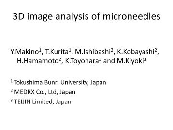 3D image analysis of microneedles