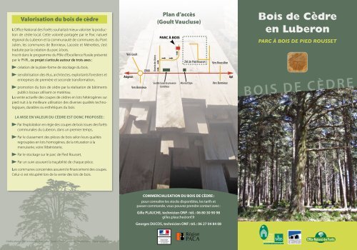 BOIS DE CÈDRE - Parc naturel régional du Luberon