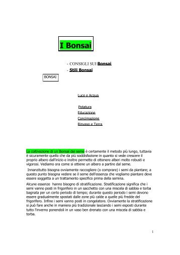 Guida per coltivare i bonsai - Maella.It