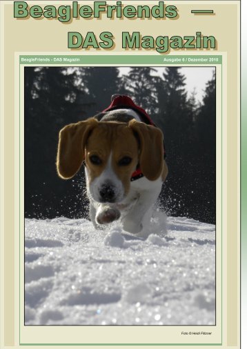 Ausgabe 6 / Dezember 2010 BeagleFriends - DAS Magazin