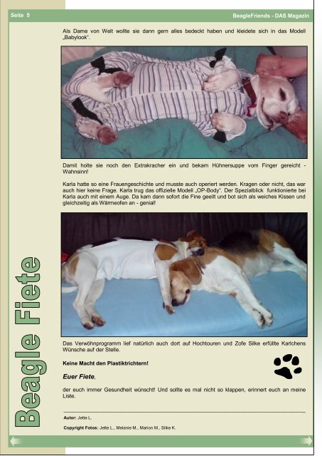 Ausgabe 6 / Dezember 2010 BeagleFriends - DAS Magazin