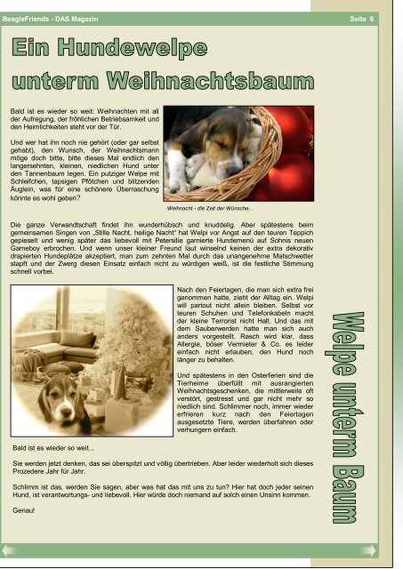 Ausgabe 6 / Dezember 2010 BeagleFriends - DAS Magazin