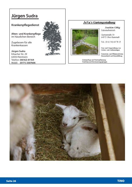 Download - Tiere in Not Odenwald eV